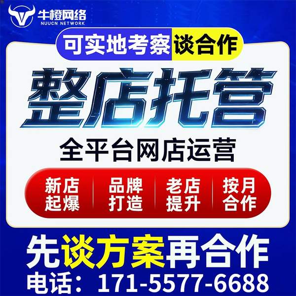 济南电商代运营