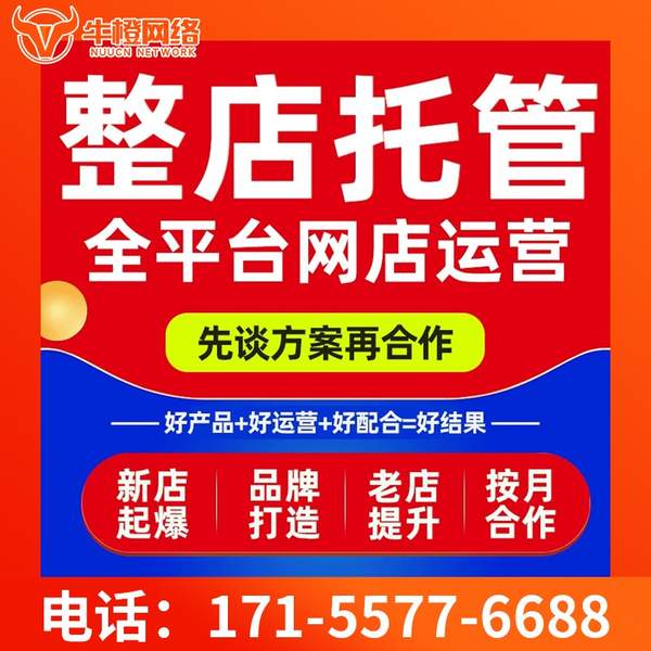 济南电商代运营