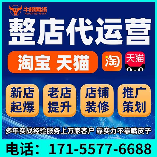 济南电商代运营