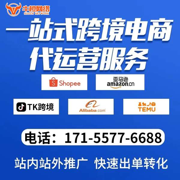 济南电商代运营